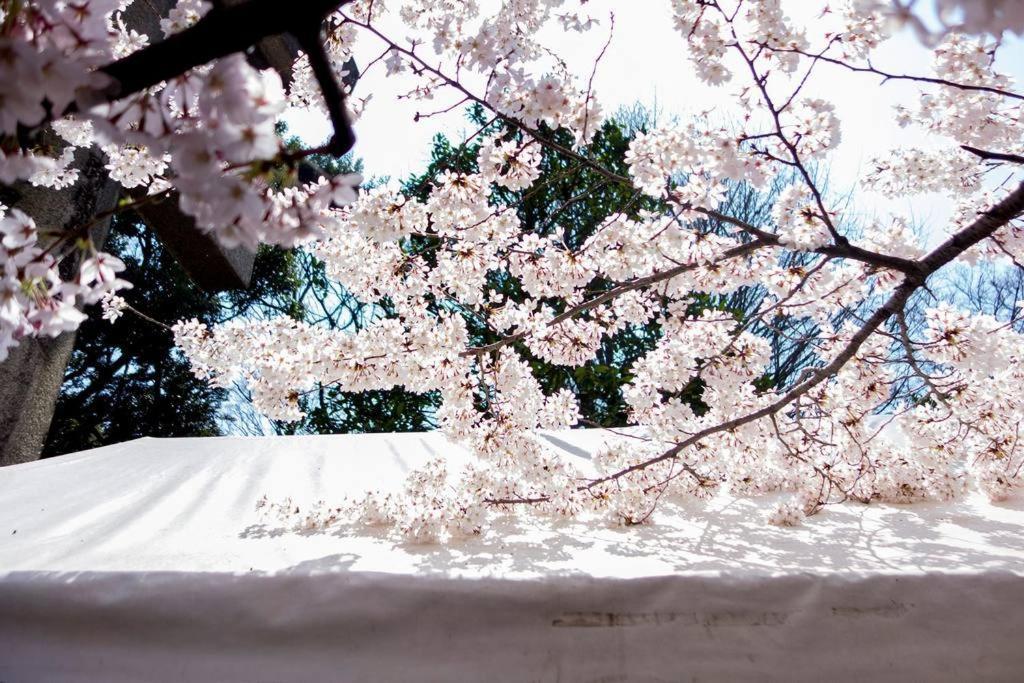 寅ホテル 台東 Hotel 寅 台东 Tora Hotel Taito A Токіо Екстер'єр фото